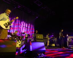 Stereolab
